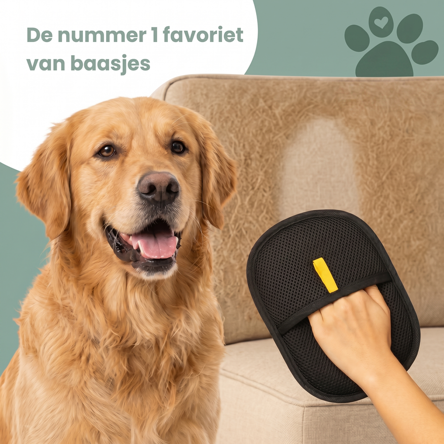 Pawdal™ GroomGlove