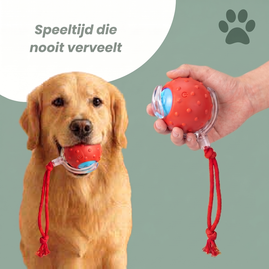 Pawdal™ GlowBall