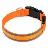 Pawdal™ Lichtgevende Halsband